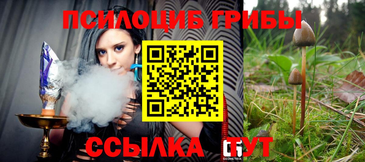 Красный Сулин  Галлюциногенные грибы GOLDEN TEACHER  Галлюциногенные грибы прущие грибы  Вход с VPN 